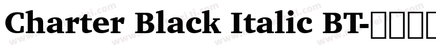 Charter Black Italic BT字体转换